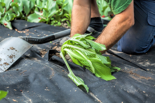Superior Weed Barrier Fabric